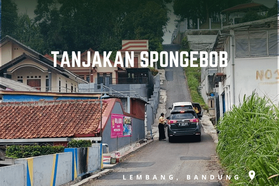 tanjakan spongebob lembang bandung